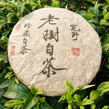 2012 Fujian Bai Cha White Tea Lao Gongmei Tea for Anti-fatigue and Detoxification
2012 Fujian Bai Cha White Tea Lao Gongmei Tea for Anti-fatigue and Detoxification
