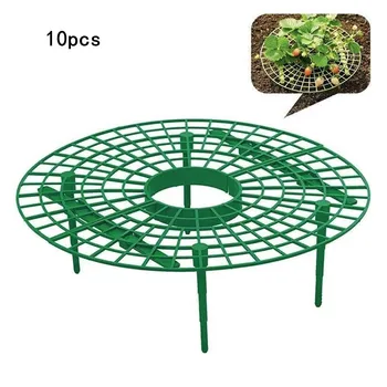 10pcs Plant Tool Strawberry Growing Circle Support Rack Farming Improve Harvest Frame Lightweight Removable Grow Racks 30x30CM
10pcs Plant Tool Strawberry Growing Circle Support Rack Farming Improve Harvest Frame Lightweight Removable Grow Racks 30x30CM