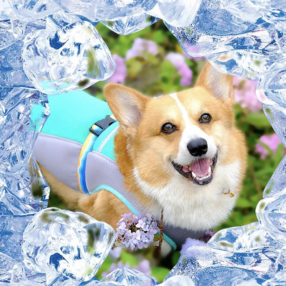 FATHIN Summer Dog Cooling Clothes Anti-heatstroke Heat Dissipation Sunscreen French Bulldog Corgi Vest Pet Cool Clothing
FATHIN Summer Dog Cooling Clothes Anti-heatstroke Heat Dissipation Sunscreen French Bulldog Corgi Vest Pet Cool Clothing