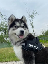 Szelki Dla Psa-arnés personalizado para perro, sin tirones, reflectante, transpirable, ajustable, para correa de chaleco, con parche personalizado