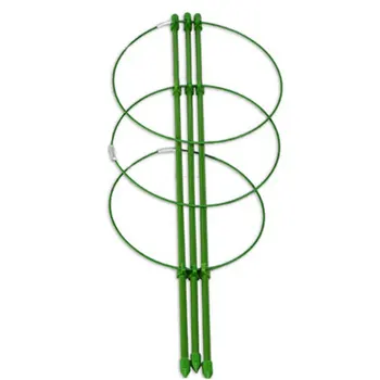Gardening Tool Steel Decorative Vine Climbing Rack Trellis Vegetables Pot Culture Plant Flower Support Frame
Gardening Tool Steel Decorative Vine Climbing Rack Trellis Vegetables Pot Culture Plant Flower Support Frame