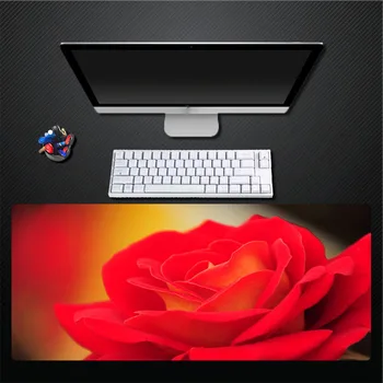 Large Size Printing Gorgeous Pink Rose Mouse Pad Computer Game Accessories Mouse Pad Desktop Non-slip Game Speed Pad
Large Size Printing Gorgeous Pink Rose Mouse Pad Computer Game Accessories Mouse Pad Desktop Non-slip Game Speed Pad
