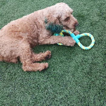 2019 New Style Pet Toy Cotton Rope + Rubber Ball Golden Retriever Labrador Medium Large Dog Toy Educational
2019 New Style Pet Toy Cotton Rope + Rubber Ball Golden Retriever Labrador Medium Large Dog Toy Educational