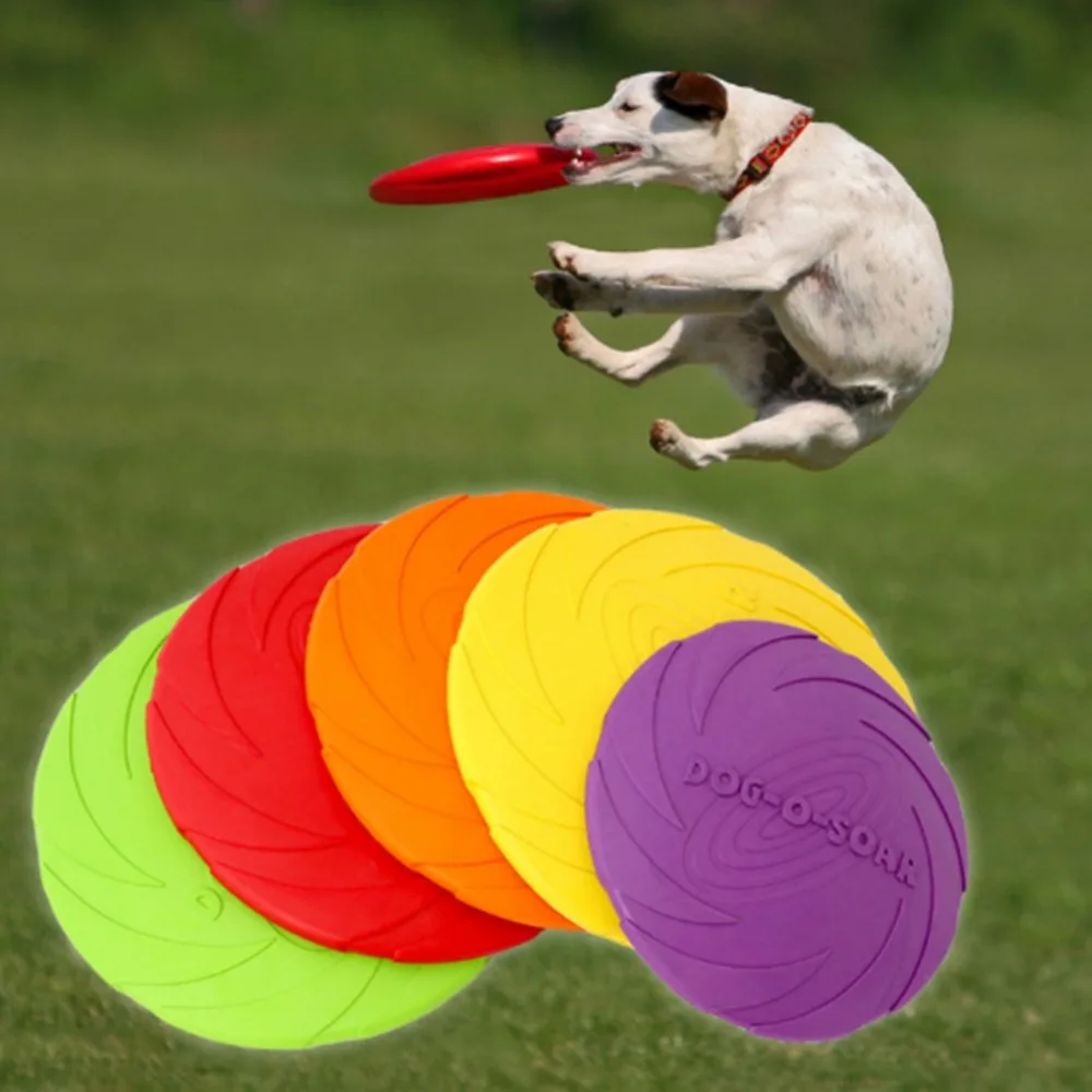 dog frisbee