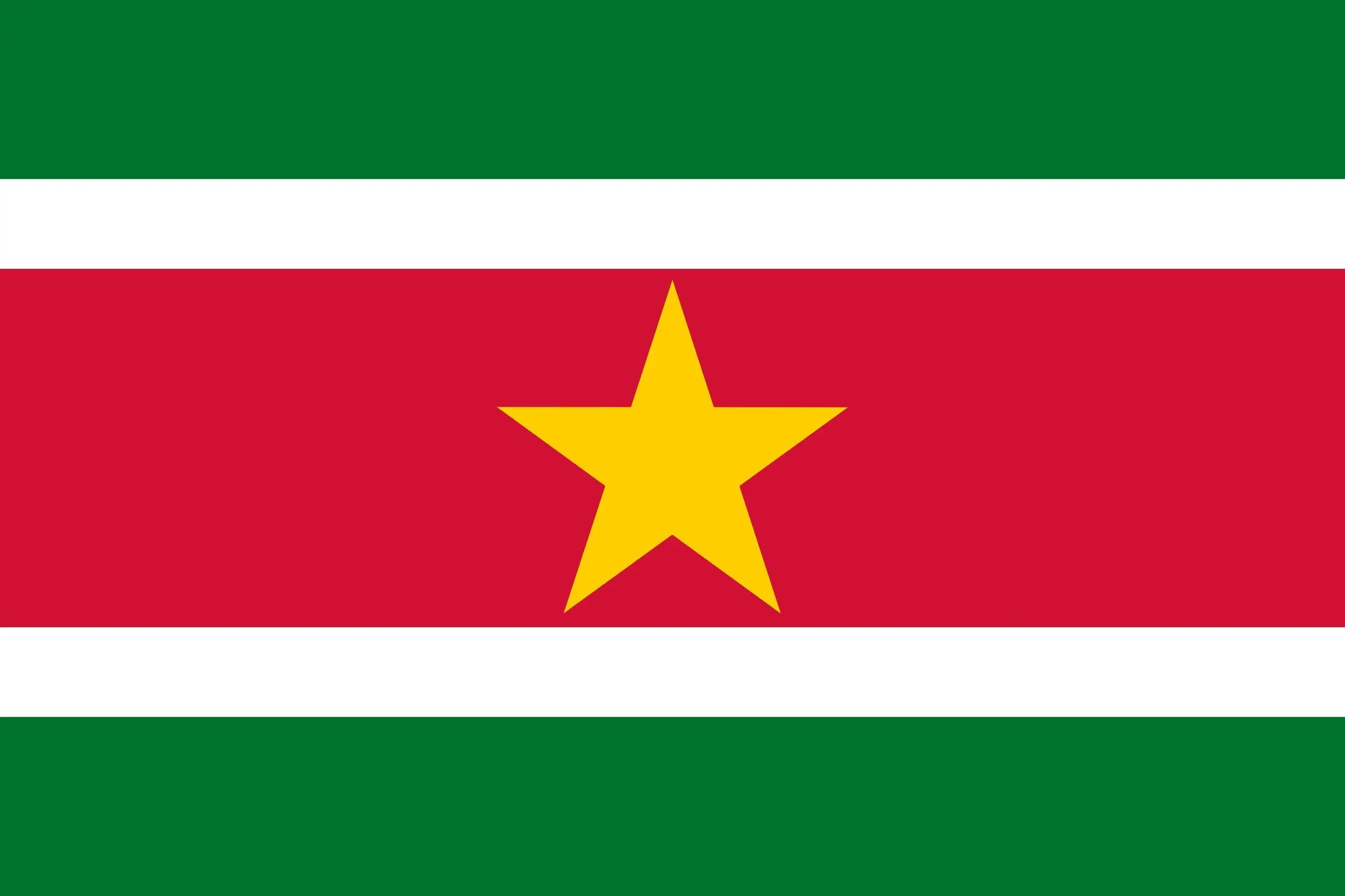 Фото 90*150 см Флаг Суринама |