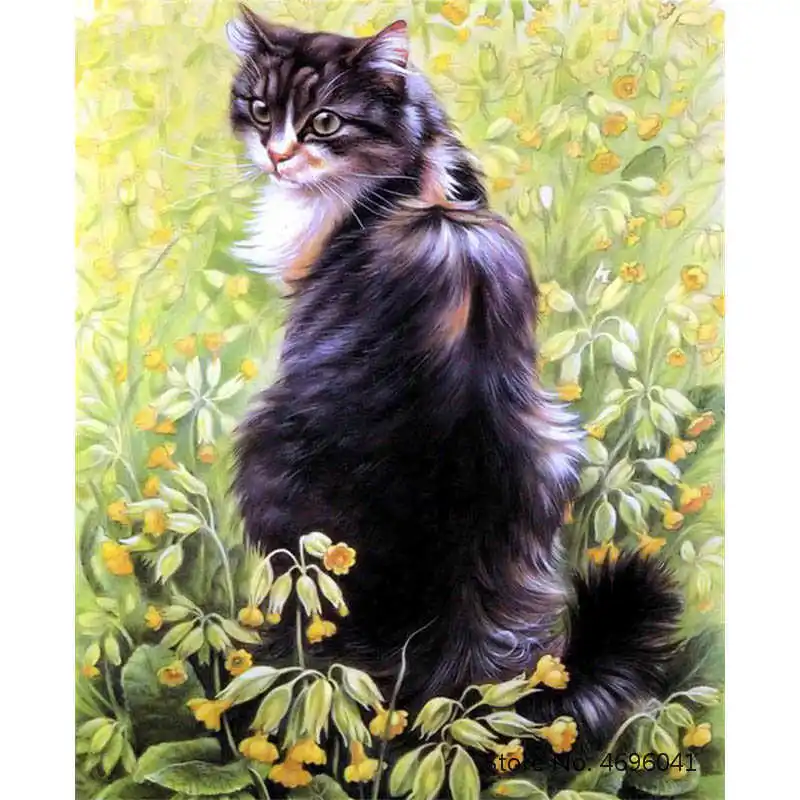 Painting By Numbers Frameworks Coloring By Numbers Home Decor Pictures Animal Cat Decorations RSB8424
Painting By Numbers Frameworks Coloring By Numbers Home Decor Pictures Animal Cat Decorations RSB8424