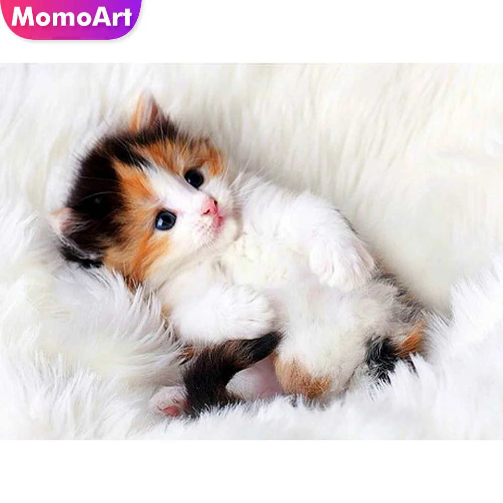 MomoArt Cat Diamond Embroidery Animal Diamond Painting Full Square/round Stones Diamond Mosaic Wall Decoration
MomoArt Cat Diamond Embroidery Animal Diamond Painting Full Square/round Stones Diamond Mosaic Wall Decoration
