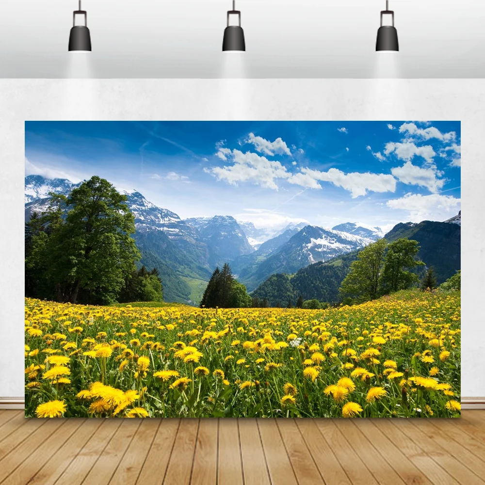 Laeacco Scenic Spring Flower Grassland Mountains Natural Landscape Room Decro Photo Backgrounds Photo Backdrops For Photo Studio
Laeacco Scenic Spring Flower Grassland Mountains Natural Landscape Room Decro Photo Backgrounds Photo Backdrops For Photo Studio