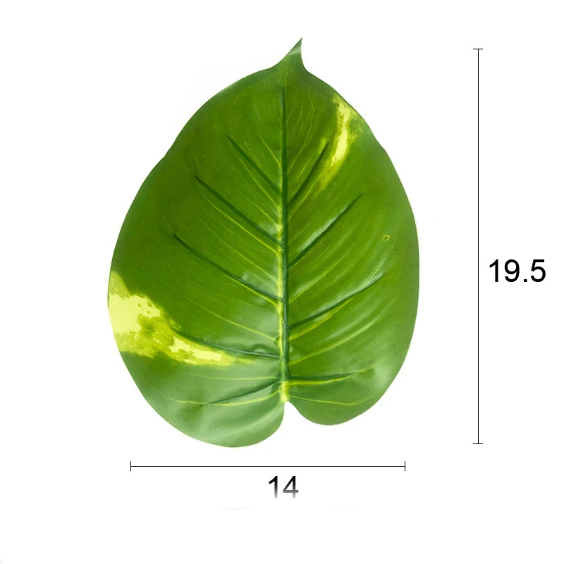 11167246484_1493019570