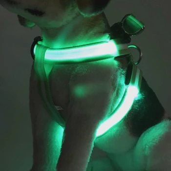 Rechargeable LED Nylon Pet Dog Cat Harness Led Flashing Light Harness Collar Pet Safety Led Leash Rope Belt Dog Accessories
Rechargeable LED Nylon Pet Dog Cat Harness Led Flashing Light Harness Collar Pet Safety Led Leash Rope Belt Dog Accessories