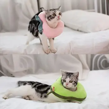 Cat E-Collar Cute Avocado Peach Wound Healing Protective Neck Cone After Surgery Recovery Elizabethan Collars Soft Edge
Cat E-Collar Cute Avocado Peach Wound Healing Protective Neck Cone After Surgery Recovery Elizabethan Collars Soft Edge