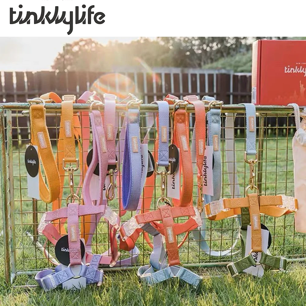 TINKLYLIFE RAINBOW LEASH Solid Dog Leash For Large Dogs Pet Puppy Walking Training Lead Rope Big Dog Nylon Rope Long Leashes
TINKLYLIFE RAINBOW LEASH Solid Dog Leash For Large Dogs Pet Puppy Walking Training Lead Rope Big Dog Nylon Rope Long Leashes