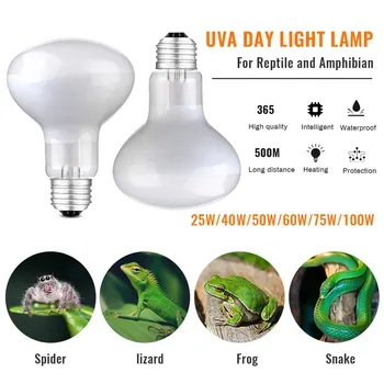Basking Spot Heat Lamp Reptile Turtle Waterproof Heating Bulb Habitat Light Warmer 25/40/50/60/75/100W 220V UVA Light Bulbs #15
Basking Spot Heat Lamp Reptile Turtle Waterproof Heating Bulb Habitat Light Warmer 25/40/50/60/75/100W 220V UVA Light Bulbs #15