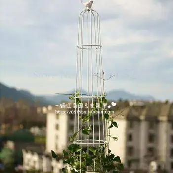 New arrival clematis frame Birdcage flower frame Vine climbing frame has 2 specifications Suitable for balcony pot
New arrival clematis frame Birdcage flower frame Vine climbing frame has 2 specifications Suitable for balcony pot