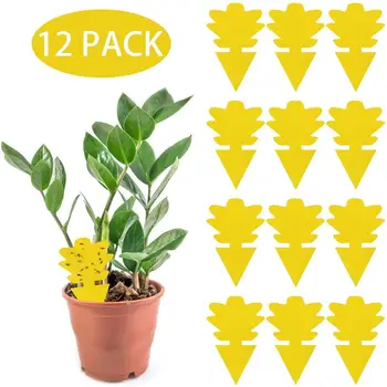 12PCS Hanging Fly Trap Fruit Fly Catcher Sticky Traps Yellow Board Catching Aphid Insects Killer Pest Control Stickers Many Use
12PCS Hanging Fly Trap Fruit Fly Catcher Sticky Traps Yellow Board Catching Aphid Insects Killer Pest Control Stickers Many Use