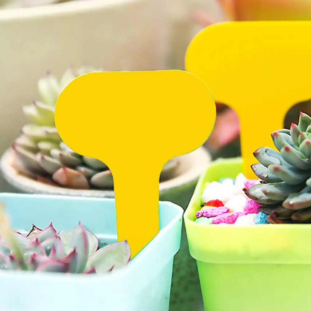 Gardening Plant Mark Label Waterproof t-Shaped Ground Inserting Label Props Pvc Plastic Gardening Supplies Label Plant Sign Tool
Gardening Plant Mark Label Waterproof t-Shaped Ground Inserting Label Props Pvc Plastic Gardening Supplies Label Plant Sign Tool