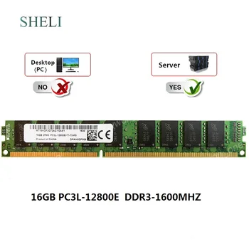 SHELI 16GB 2RX8 PC3L-12800E 1600Mhz 1.35V 240P VLP ECC Unbuffered Server Memory
SHELI 16GB 2RX8 PC3L-12800E 1600Mhz 1.35V 240P VLP ECC Unbuffered Server Memory