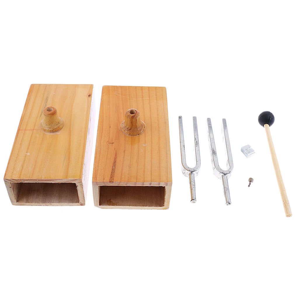 440HZ Resonance Tuning Fork Steel Fork Teaching Fork Scientific Physical Acoustics Laboratory Instrument
440HZ Resonance Tuning Fork Steel Fork Teaching Fork Scientific Physical Acoustics Laboratory Instrument