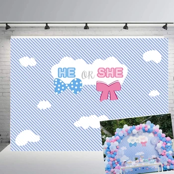 BEIPOTO He or She Gender Reveal Backdrop Cloud Blue or Pink Photography Background vinyl Party Banner baby shower studio B383 
BEIPOTO He or She Gender Reveal Backdrop Cloud Blue or Pink Photography Background vinyl Party Banner baby shower studio B383
