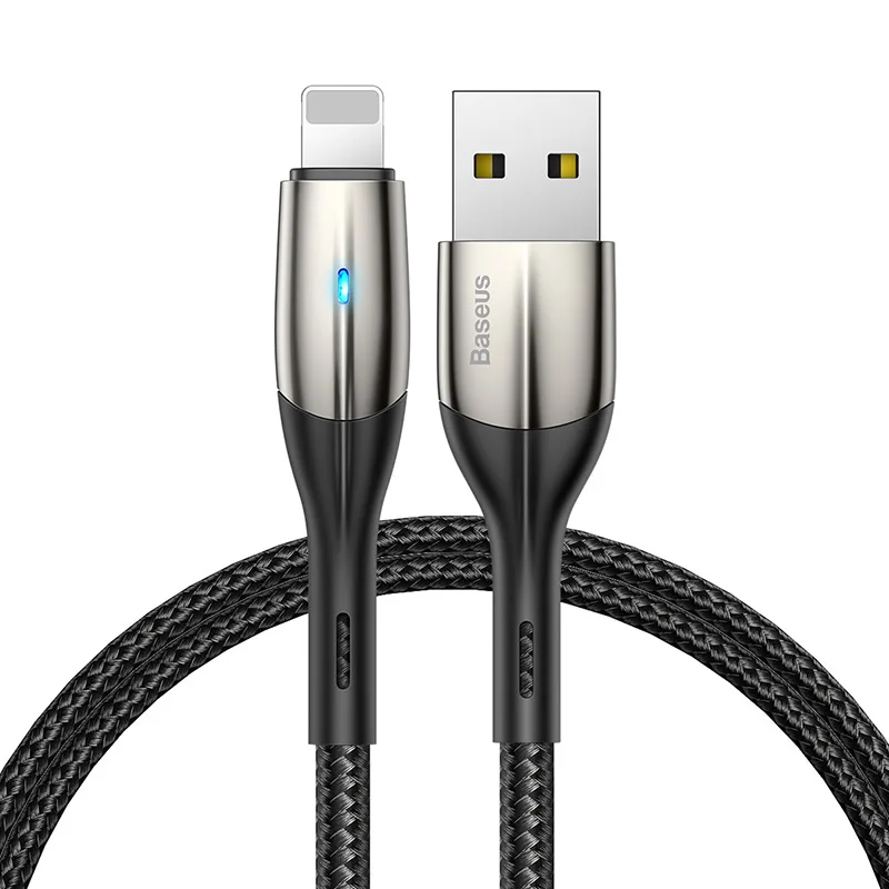 For usb lightning cable short 0.5m 1m 2m 2.4A fast charging data cable for iphone xs xr 8 7 6s plus 5s ipad charger Original led
For usb lightning cable short 0.5m 1m 2m 2.4A fast charging data cable for iphone xs xr 8 7 6s plus 5s ipad charger Original led
