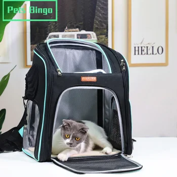 Pets Bingo Portable Cat Bag Breathable Cat Backpack Travel Carrier Packbag Portable Dog Packbag PVC Mesh Handbag for< 7kg Pet
Pets Bingo Portable Cat Bag Breathable Cat Backpack Travel Carrier Packbag Portable Dog Packbag PVC Mesh Handbag for< 7kg Pet