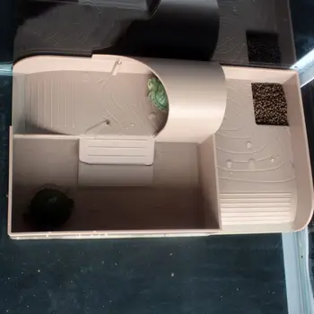 Turtle Multi-function Turtles Sunbathing Back Plat Climbing Floating Platform M0XD
Turtle Multi-function Turtles Sunbathing Back Plat Climbing Floating Platform M0XD