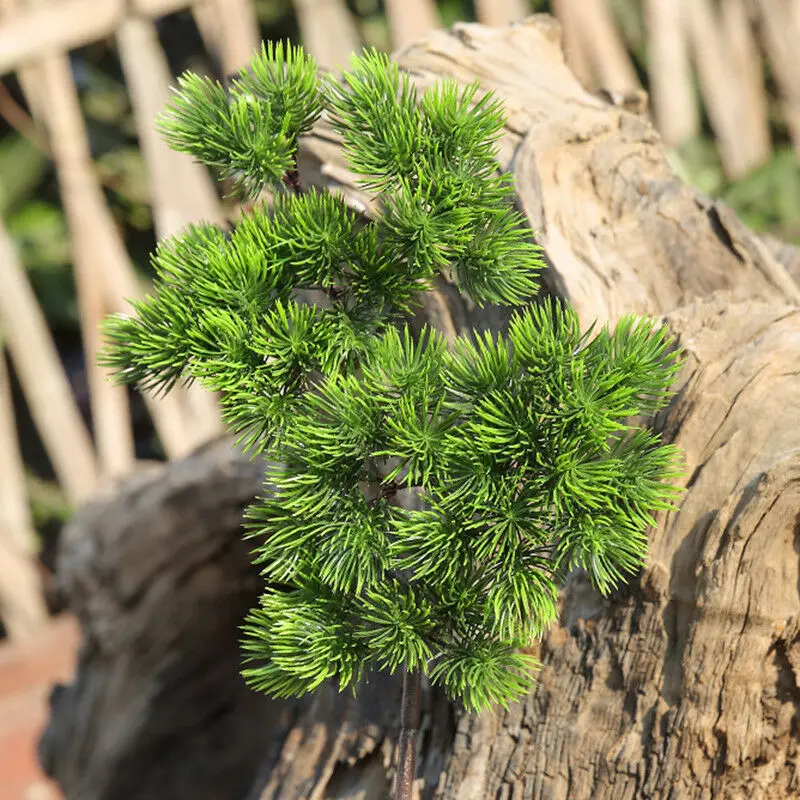Artificial Plant Pine Fake Plants Home Wedding Decoration Plastics Non-toxic Tasteless 42 Cm Courtyard School Indoor Decor
Artificial Plant Pine Fake Plants Home Wedding Decoration Plastics Non-toxic Tasteless 42 Cm Courtyard School Indoor Decor