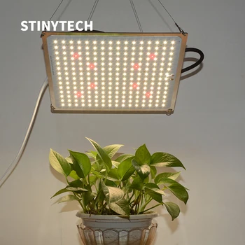 Stiny Latest 1000W LED Grow Light with Samsung LM301B Diodes & Meanwell Driver,Sunlike Full Spectrum for Indoor Veg Flower etc.
Stiny Latest 1000W LED Grow Light with Samsung LM301B Diodes & Meanwell Driver,Sunlike Full Spectrum for Indoor Veg Flower etc.