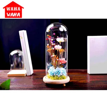 Grade Hand-blown S/M/L DIY Glass Cover Micro Crystal Table Flower Glass Cover Vase Wedding Decoration Home Decor Handicraft
Grade Hand-blown S/M/L DIY Glass Cover Micro Crystal Table Flower Glass Cover Vase Wedding Decoration Home Decor Handicraft