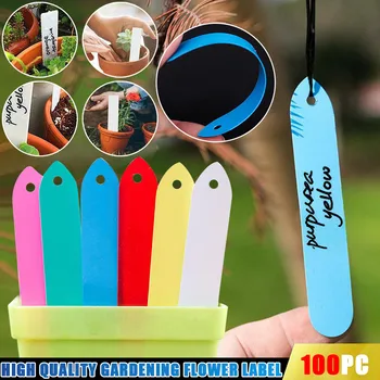 100PC Plant Pot Markers Garden Nursery Plastic Stake Tags Solid Color Durable Labels Reusable
100PC Plant Pot Markers Garden Nursery Plastic Stake Tags Solid Color Durable Labels Reusable