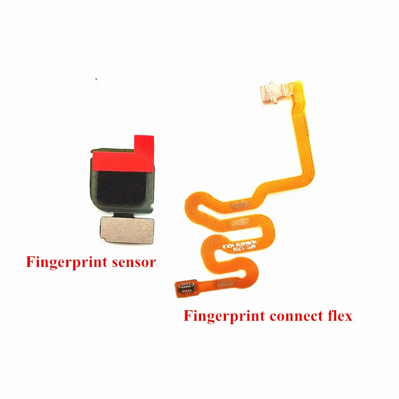 Fingerprint Scanner Home Button Flex Cable Touch ID Return Key Connect Flex Cable for Huawei P10 Lite / Nova Lite
Fingerprint Scanner Home Button Flex Cable Touch ID Return Key Connect Flex Cable for Huawei P10 Lite / Nova Lite