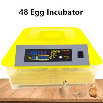 Mini 48 Egg Mini Egg Incubator 80W Fully Automatic Mini Chicken Duck Goose Quail Eggs Hatching Machine
Mini 48 Egg Mini Egg Incubator 80W Fully Automatic Mini Chicken Duck Goose Quail Eggs Hatching Machine