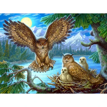 DIY Painting By Numbers Cartoon Owl Oil Coloring By Numbers Animals 40x50cm Wall Art Canvas Picture Hand Painted Home Decoration
DIY Painting By Numbers Cartoon Owl Oil Coloring By Numbers Animals 40x50cm Wall Art Canvas Picture Hand Painted Home Decoration