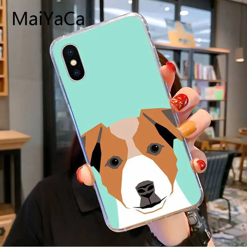Jack Russell Terrier Dog