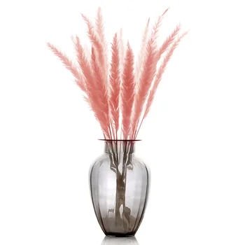 Hot Sale Decor Bulrush 15pcs Dry Little Pampas Phragmites Communis Household Decoration Reed
Hot Sale Decor Bulrush 15pcs Dry Little Pampas Phragmites Communis Household Decoration Reed