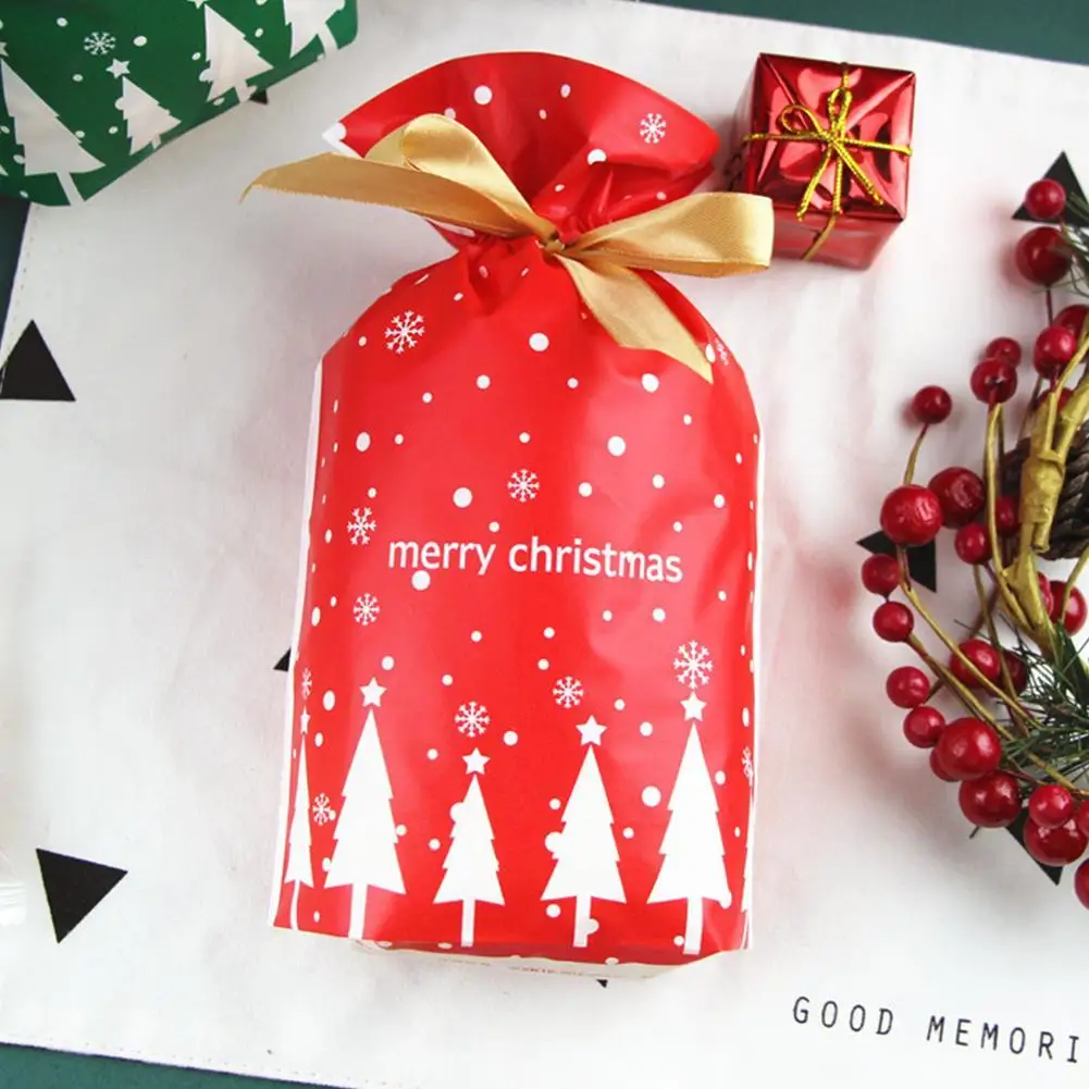 50pcs christmas gift bag 23.