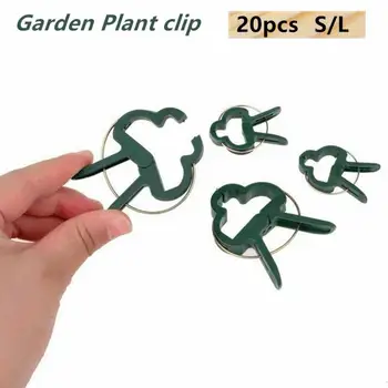 2020 NEW 20pcs Plant Support Clips For Tomato Hanging Trellis Vine Connects Plants Protection Greenhouse Vegetables Garden decor
2020 NEW 20pcs Plant Support Clips For Tomato Hanging Trellis Vine Connects Plants Protection Greenhouse Vegetables Garden decor
