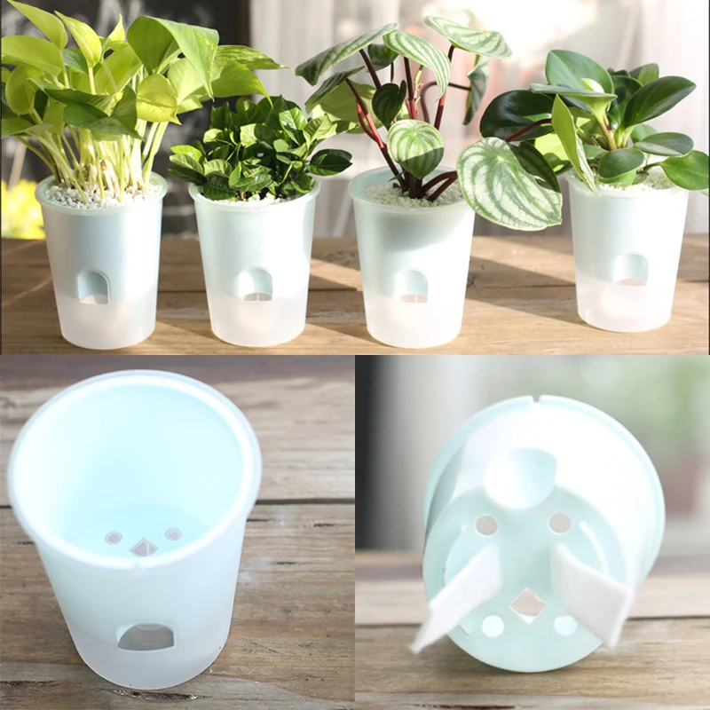 Suction Cup Self Watering Planters Flower Pots Herb Planter Plant Pots Water Automatic Indoor Decor Hydroponic
Suction Cup Self Watering Planters Flower Pots Herb Planter Plant Pots Water Automatic Indoor Decor Hydroponic