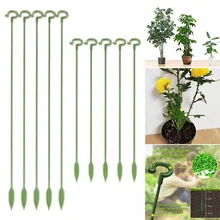 Plant Support Stand For Flowers Holders Rod Anti-lodging Leaf Bracket Orchard And Garden Vegetable Patch Greenhouses Bonsai Tool
Plant Support Stand For Flowers Holders Rod Anti-lodging Leaf Bracket Orchard And Garden Vegetable Patch Greenhouses Bonsai Tool