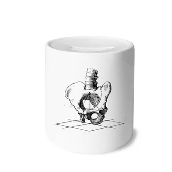 Hip Spine Human Skeleton Sketch Money Box Saving Banks Ceramic Coin Case Kids Adults
Hip Spine Human Skeleton Sketch Money Box Saving Banks Ceramic Coin Case Kids Adults