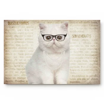 White Cat With Glasses Simple Door Mats Bedroom Kitchen Bathroom Door Non-slip Mats
White Cat With Glasses Simple Door Mats Bedroom Kitchen Bathroom Door Non-slip Mats