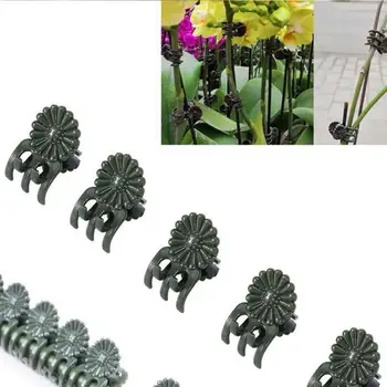 100pcs Plastic Plant Support Clip Orchid Stem Clip for Greenhouse Vegetables Flower Tied Bundle Branch Clamping Garden Tool
100pcs Plastic Plant Support Clip Orchid Stem Clip for Greenhouse Vegetables Flower Tied Bundle Branch Clamping Garden Tool