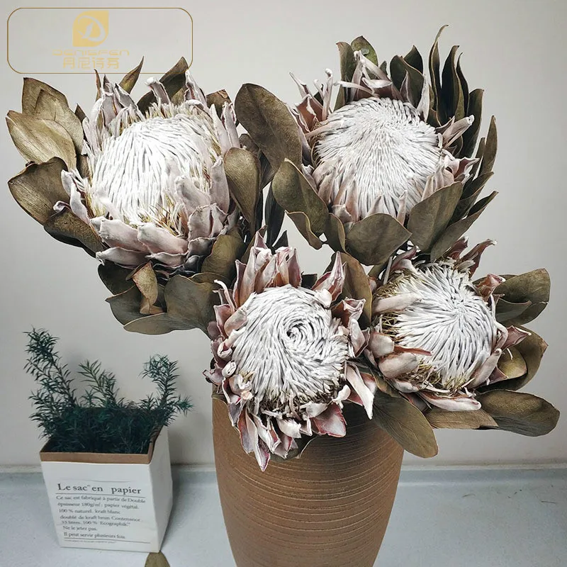 Natural Dried Flowers Emperor Flower Real Floral Dried Branch Wedding Decoration Accessories for Home Garden Shop Hotel Decor
Natural Dried Flowers Emperor Flower Real Floral Dried Branch Wedding Decoration Accessories for Home Garden Shop Hotel Decor
