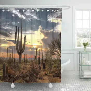 Blue Cactus Desert Landscape Red Arid Arizona Cacti Clouds Shower Curtain Waterproof Polyester Fabric 72 x 78 Inches with Hooks
Blue Cactus Desert Landscape Red Arid Arizona Cacti Clouds Shower Curtain Waterproof Polyester Fabric 72 x 78 Inches with Hooks