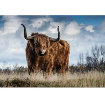 5D Diy Diamond "Highland Cow"Diamond Embroidery Sale Diamond Painting Cross Stitch 3D Pictures Full Square
5D Diy Diamond "Highland Cow"Diamond Embroidery Sale Diamond Painting Cross Stitch 3D Pictures Full Square
