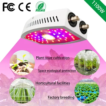 AMKOY Full Spectrum 1100W LED Grow Light Dual-die 410-730nm for Horticultural Indoor Plants and Flower Greenhouse Grow Tent
AMKOY Full Spectrum 1100W LED Grow Light Dual-die 410-730nm for Horticultural Indoor Plants and Flower Greenhouse Grow Tent