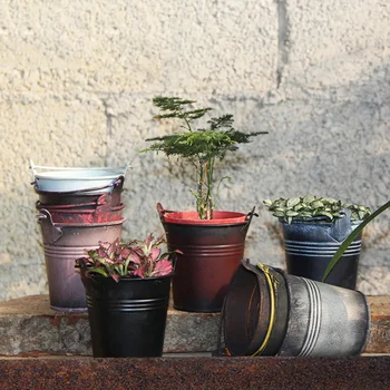 4 Pcs Iron Bucket Mini Practical Planter Bucket Garden Bucket Flower Bucket with Handle for Storage Decoration Planting
4 Pcs Iron Bucket Mini Practical Planter Bucket Garden Bucket Flower Bucket with Handle for Storage Decoration Planting