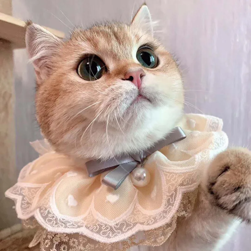 Cat Collar with Bow Tie Saliva Scarf Cat Bib Lace Pearl Pendant Dog Collar Adjustable Bandana Bibs Pet Accessories
Cat Collar with Bow Tie Saliva Scarf Cat Bib Lace Pearl Pendant Dog Collar Adjustable Bandana Bibs Pet Accessories