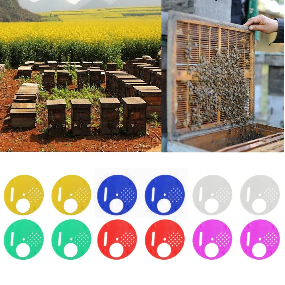 12PCs Round Bee Hive Box Entrance Gate Disc Plastic Bee Nest Door Honeycomb Entrance Gate Beekeeping Tool Equipment
12PCs Round Bee Hive Box Entrance Gate Disc Plastic Bee Nest Door Honeycomb Entrance Gate Beekeeping Tool Equipment
