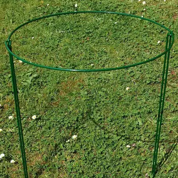 Green Plant Support Plant Support Ring Cage Garden Border Supports Half Round 2Pcs Garden Plant Support Stake
Green Plant Support Plant Support Ring Cage Garden Border Supports Half Round 2Pcs Garden Plant Support Stake